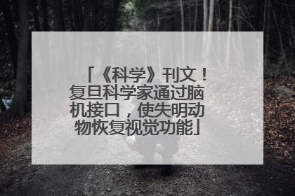 《科学》刊文！复旦科学家通过脑机接口，使失明动物恢复视觉功能