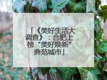 《美好生活大调查》：合肥上榜“美好焕新”典范城市