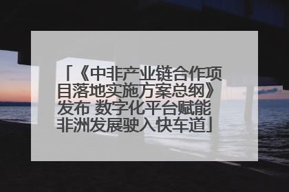 《中非产业链合作项目落地实施方案总纲》发布 数字化平台赋能非洲发展驶入快车道