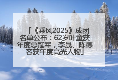 《乘风2025》成团名单公布：62岁叶童获年度总冠军，李晟、陈德容获年度高光人物