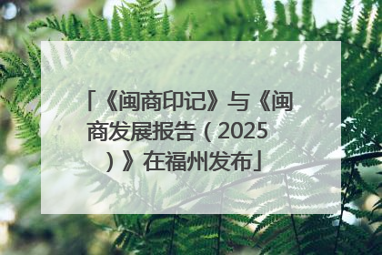 《闽商印记》与《闽商发展报告（2025）》在福州发布