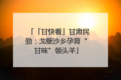 「甘快看」甘肃民勤：戈壁沙乡孕育“甘味”领头羊