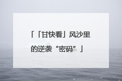 「甘快看」风沙里的逆袭“密码”
