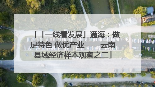 「一线看发展」通海：做足特色 做优产业——云南县域经济样本观察之二