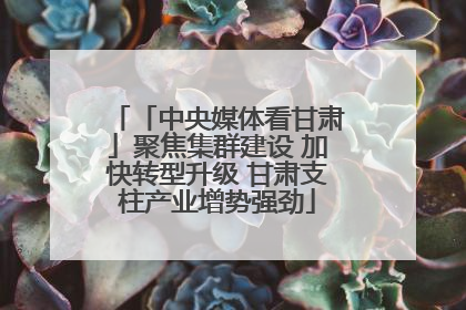 「中央媒体看甘肃」聚焦集群建设 加快转型升级 甘肃支柱产业增势强劲