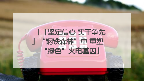 「坚定信心 实干争先」“钢铁森林”中 重塑“绿色”火电基因
