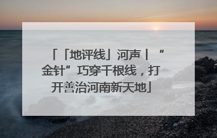 「地评线」河声丨“金针”巧穿千根线，打开善治河南新天地