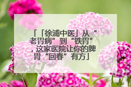 「徐浦中医」从“老胃病”到“铁胃”，这家医院让你的脾胃“回春”有方