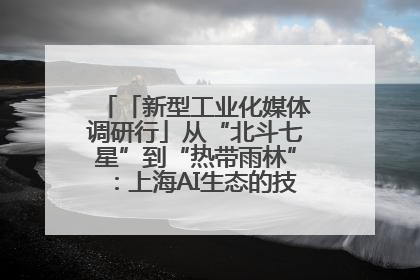 「新型工业化媒体调研行」从“北斗七星”到“热带雨林”：上海AI生态的技术商业共生密码