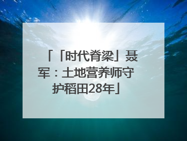 「时代脊梁」聂军：土地营养师守护稻田28年