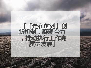 「走在前列」创新机制，凝聚合力，推动执行工作高质量发展
