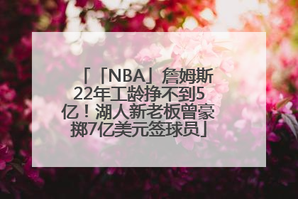 「NBA」詹姆斯22年工龄挣不到5亿！湖人新老板曾豪掷7亿美元签球员