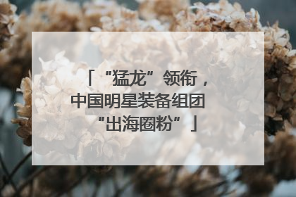 “猛龙”领衔，中国明星装备组团“出海圈粉”