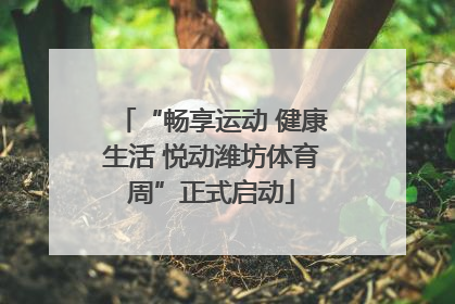 “畅享运动 健康生活 悦动潍坊体育周”正式启动