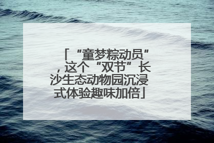 “童梦粽动员”，这个“双节”长沙生态动物园沉浸式体验趣味加倍