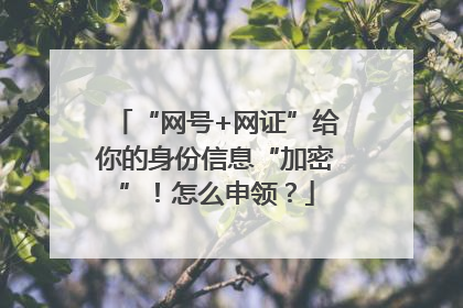 “网号+网证”给你的身份信息“加密”！怎么申领？
