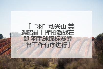 “羽”动兴山 美遇昭君丨挥拍激战在即 羽毛球锦标赛筹备工作有序进行