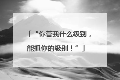 “你管我什么级别，能抓你的级别！”