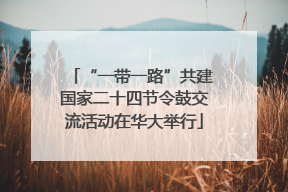 “一带一路”共建国家二十四节令鼓交流活动在华大举行