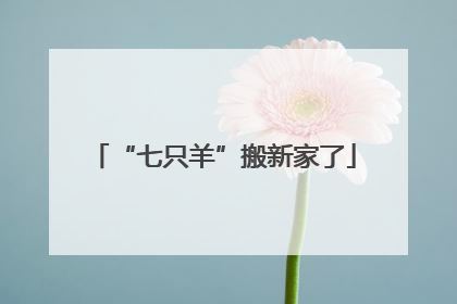 “七只羊”搬新家了