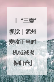 “三夏”视觉｜孟州麦收正当时 机械减损保归仓