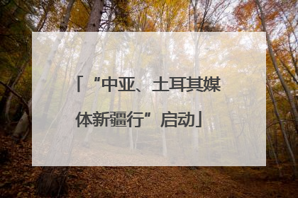 “中亚、土耳其媒体新疆行”启动
