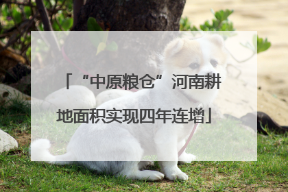 “中原粮仓”河南耕地面积实现四年连增