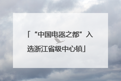 “中国电器之都”入选浙江省级中心镇