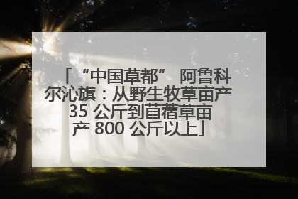 “中国草都” 阿鲁科尔沁旗：从野生牧草亩产 35 公斤到苜蓿草亩产 800 公斤以上