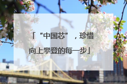 “中国芯”，珍惜向上攀登的每一步