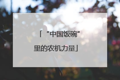 “中国饭碗”里的农机力量