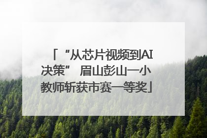 “从芯片视频到AI决策” 眉山彭山一小教师斩获市赛一等奖