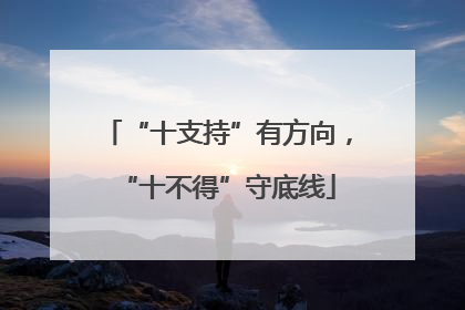 “十支持”有方向，“十不得”守底线