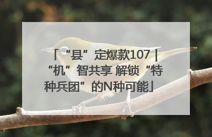 “县”定爆款107｜“机”智共享 解锁“特种兵团”的N种可能