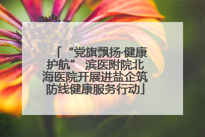 “党旗飘扬·健康护航” 滨医附院北海医院开展进盐企筑防线健康服务行动