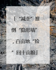 “减垄”推倒“隐形墙”，百亩地“捡”回十亩粮