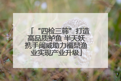 “四检三筛”打造高品质鲈鱼 半天妖携手闽威助力福鼎渔业实现产业升级