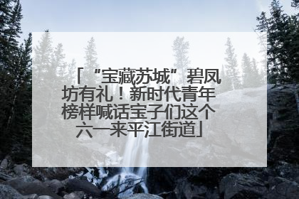 “宝藏苏城”碧凤坊有礼！新时代青年榜样喊话宝子们这个六一来平江街道