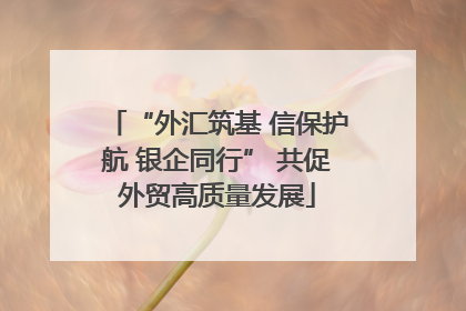 “外汇筑基 信保护航 银企同行” 共促外贸高质量发展