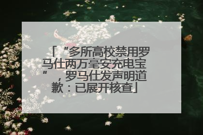 “多所高校禁用罗马仕两万毫安充电宝”，罗马仕发声明道歉：已展开核查