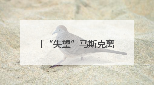 “失望”马斯克离开特朗普政府 媒体称当天两人未交谈