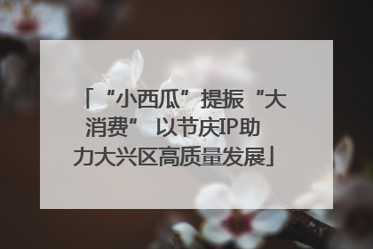 “小西瓜”提振“大消费” 以节庆IP助力大兴区高质量发展