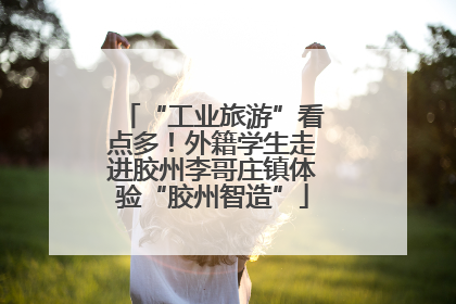 “工业旅游”看点多！外籍学生走进胶州李哥庄镇体验“胶州智造”