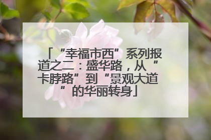 “幸福市西”系列报道之二：盛华路，从“卡脖路”到“景观大道”的华丽转身