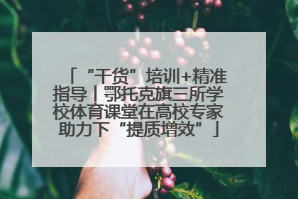 “干货”培训+精准指导丨鄂托克旗三所学校体育课堂在高校专家助力下“提质增效”