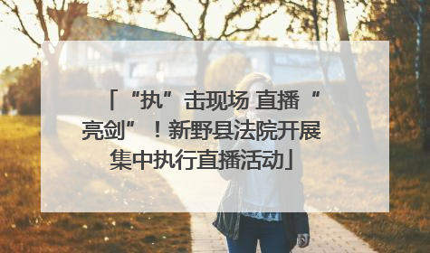 “执”击现场 直播“亮剑”！新野县法院开展集中执行直播活动