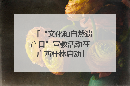 “文化和自然遗产日”宣教活动在广西桂林启动