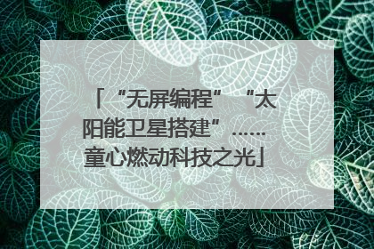 “无屏编程”“太阳能卫星搭建”……童心燃动科技之光