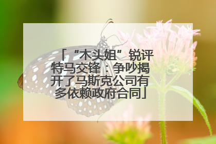 “木头姐”锐评特马交锋：争吵揭开了马斯克公司有多依赖政府合同