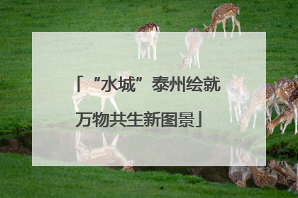 “水城”泰州绘就万物共生新图景